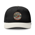 Illinois two tone mockup 1